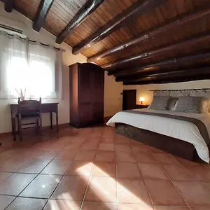 Attico San Domenico Palerme